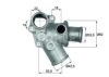 FIAT 7589824 Thermostat, coolant